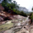 the_wilderness